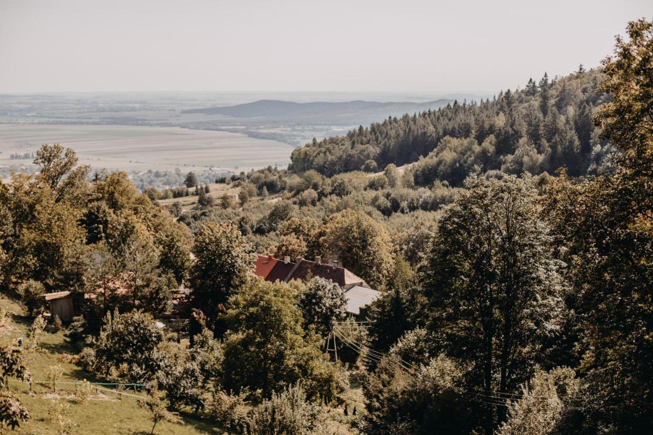 Srebrna Góra Villa Hubertus المظهر الخارجي الصورة